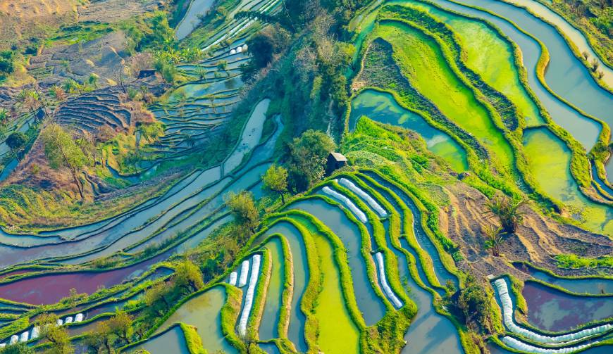 宝妈必备神器：武邑县产品视频拍摄轻松育儿好帮手