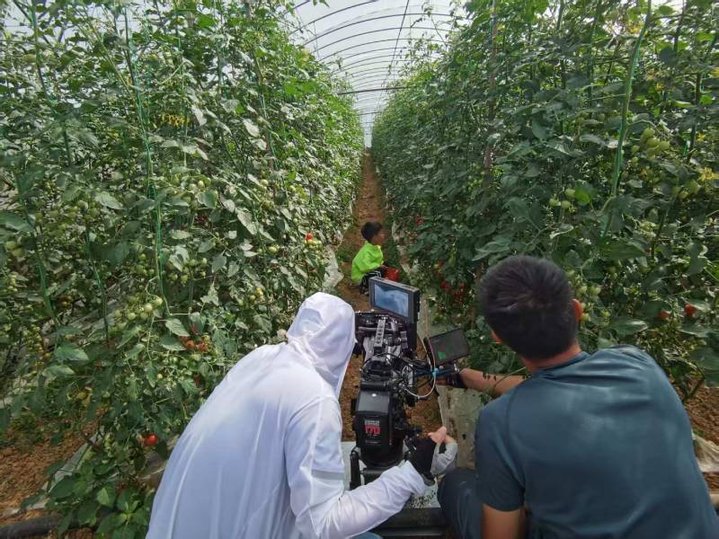 武邑县产品宣传视频拍摄公司进阶指南，助力品牌抢占传播高地